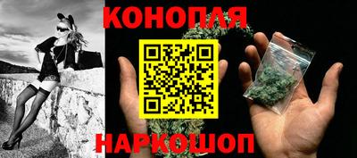 сатива Кунгур