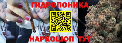 сатива Кунгур