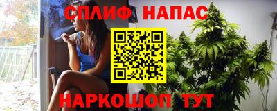 сатива Кунгур