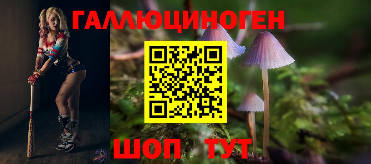 Камень-на-Оби  Псилоцибиновые грибы MAGIC MUSHROOMS  Вход с VPN  Галлюциногенные грибы мицелий 