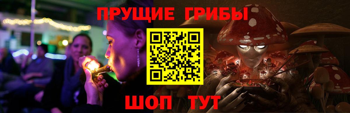 Галлюциногенные грибы Cubensis Камень-на-Оби